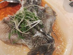 -侨美·唐荔园·40年地道粤菜