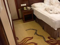 -维也纳酒店(深圳国际会展中心沙井上南店)