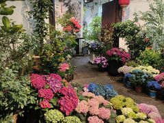 -双季花艺园艺市场(浦东店)