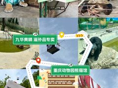 -栾川竹海野生动物园