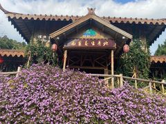 -广东天露山旅游度假区