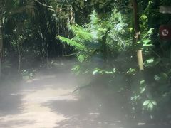 -呀诺达热带雨林