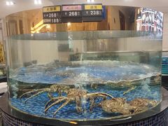 -龙悦湾酒家·八阵鱼生·渔人码头店