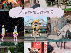 -济南野生动物世界