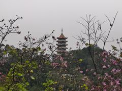 -白云山风景名胜区