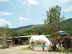 -梁野山景区