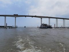 -澳门环岛游湾仔码头