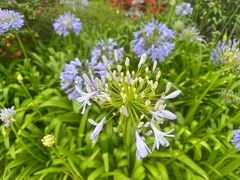 -马哥孛罗咖啡厅·Cafe Marco (厦门马哥孛罗东方大酒店)