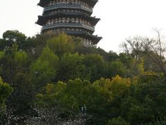 -浙江西子宾馆·牡丹厅