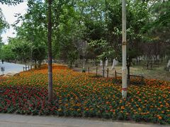 -长白岛森林公园