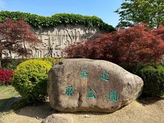-嘉定紫藤园