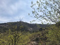 -涂山风景区