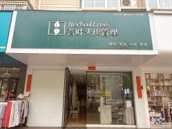 -菩叶脱发白发中心