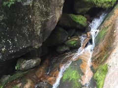 -青峰峡国家森林公园