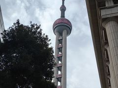 -上海海洋水族馆