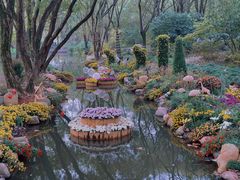 -上海共青森林公园