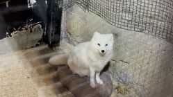 -酷嗒动物文化乐园(cutezoo西溪乐天城店)