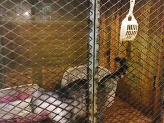 -有才叔的小馆(招商依云曲江店)