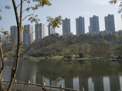-重庆彩云湖湿地公园