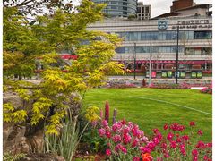 -北外滩滨江绿地