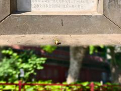 -创艺无限·赵春香微妙艺术馆