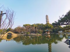 -江心屿景区