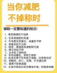 -Fundi张玉珊修身堂·indiba·BTL科技瘦身