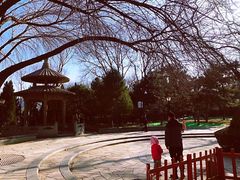 -玲珑塔公园