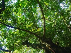 -抚仙湖禄充风景区