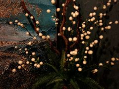 -璞·澐间影院式足道SPA(尚悦湾店)