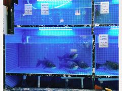 -姜君·千岛湖鱼头馆(浦东大道店)