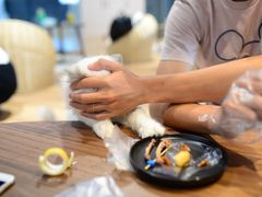 -瞄一喵猫咖(格力海岸店)