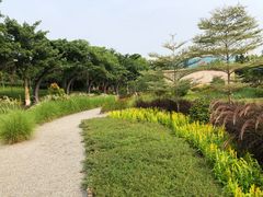 -映月湖公园