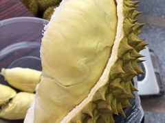 -牙山果园·烧烤野炊·钓鱼团建·烤全羊