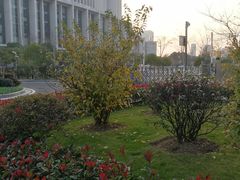 -无锡市市民中心