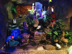 -醉小酒馆·川菜·江湖菜·重庆菜(观音桥旗舰店)