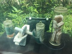 -广州神农草堂中医药博物馆