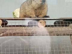 -荆州中山公园动物园