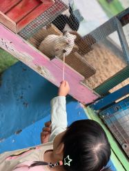 -萌宠亲子动物乐园(槐房万达店)