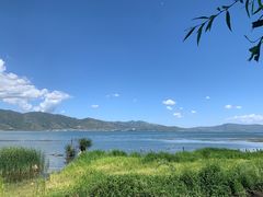 -傣厨·傣族特色手抓饭(三月街店)