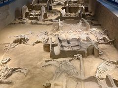 -洛阳周王城天子驾六博物馆