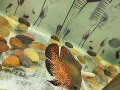 -秦皇岛新澳海底世界