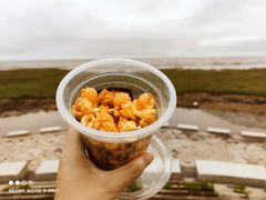 -南汇新城海滩