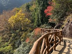 -花岩国家森林公园