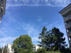 -浙江越秀外国语学院