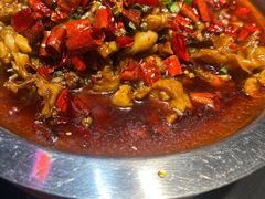 -美蛙四季(黄寺大街店)