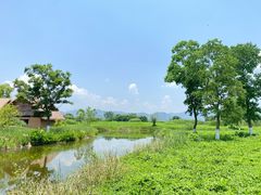 -良渚古城遗址公园