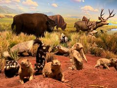 -陕西自然博物馆