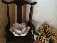 -茶庐(百花洲路店)
