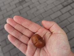 -秋栗香(地安门店)